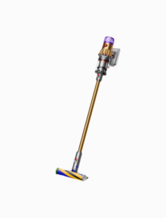Support | Dyson V12 Detect Slim Absolute
